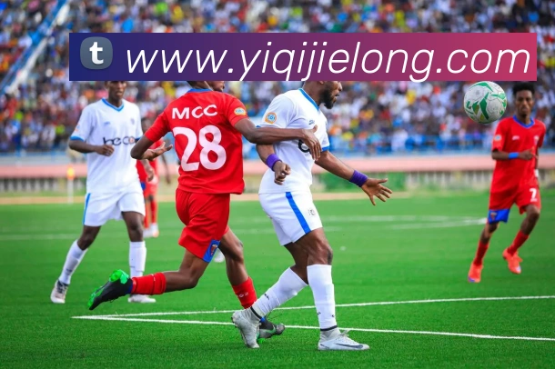 体育直播服务